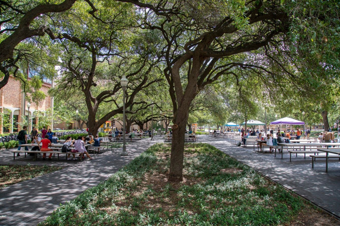 Speedway shade near 21st and Speedway