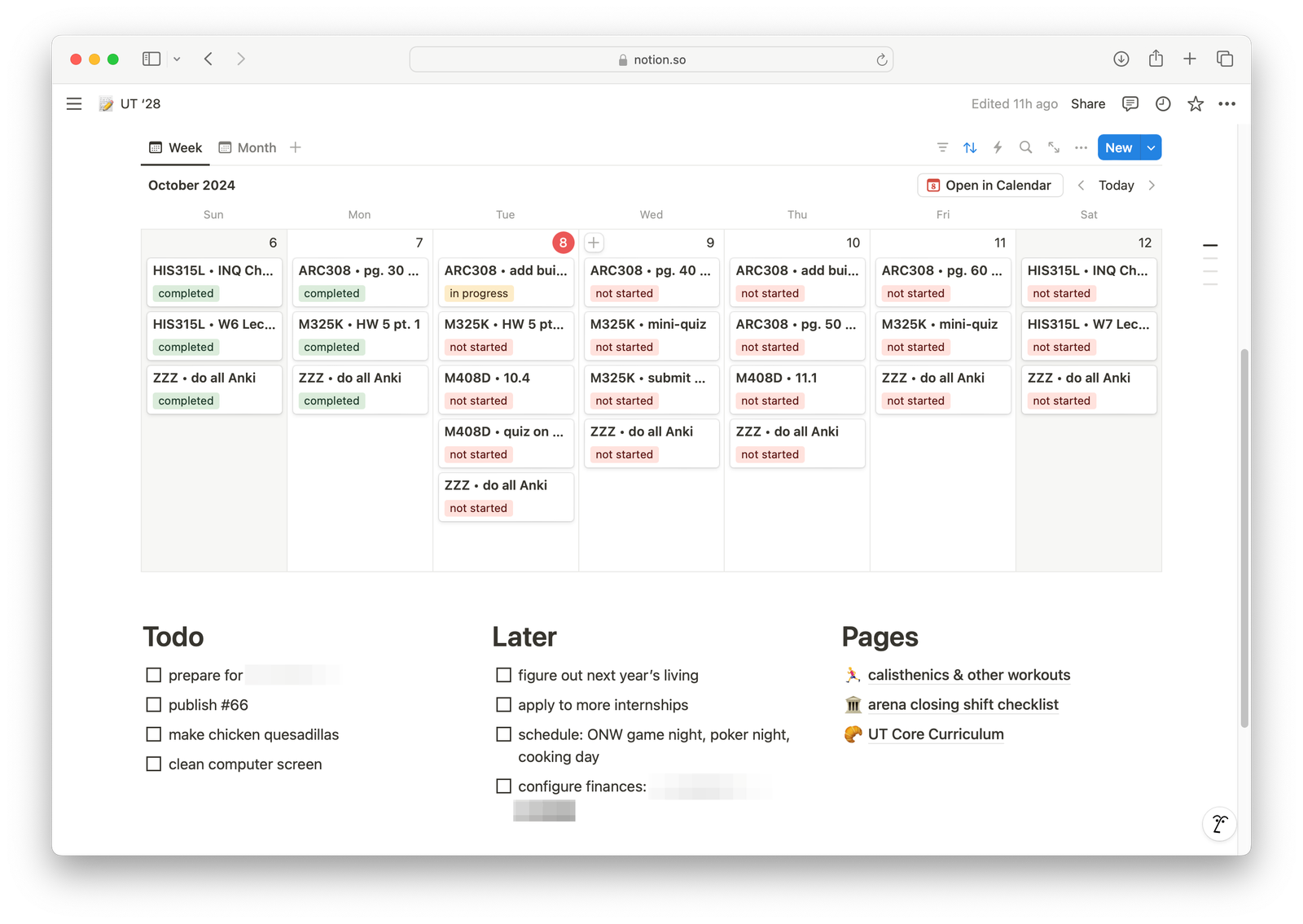 A picture of my Notion setup